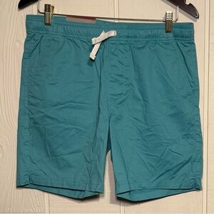 Goodfellow & Co. Mens Size XS Blue Green Solid Everyday Shorts NWT